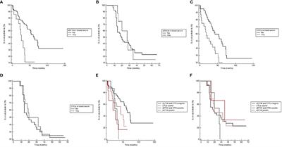 Association of Soluble B7-H4 and Circulating Tumor Cells in Blood of Advanced Epithelial Ovarian Cancer Patients